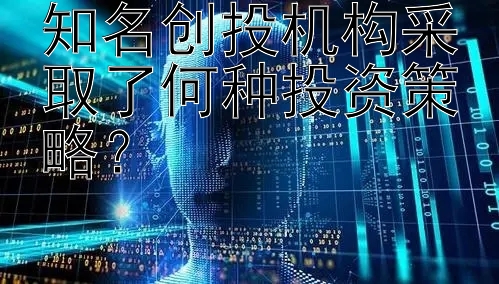 知名创投机构采取了何种投资策略？