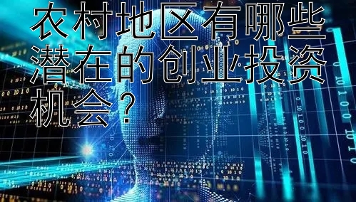 农村地区有哪些潜在的创业投资机会？