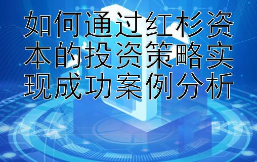 如何通过红杉资本的投资策略实现成功案例分析