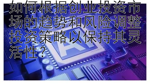 如何根据创业投资市场的趋势和风险调整投资策略以保持其灵活性？