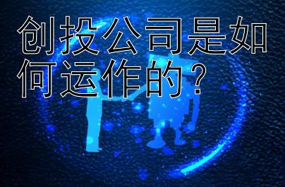 创投公司是如何运作的？