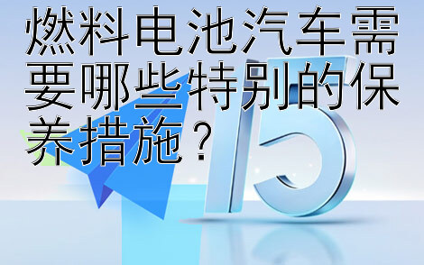 燃料电池汽车需要哪些特别的保养措施？