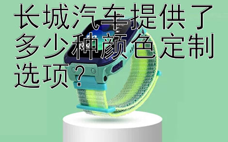 长城汽车提供了多少种颜色定制选项？