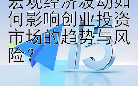 宏观经济波动如何影响创业投资市场的趋势与风险？