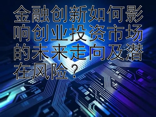 金融创新如何影响创业投资市场的未来走向及潜在风险？