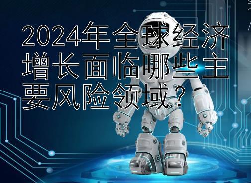 2024年全球经济增长面临哪些主要风险领域？