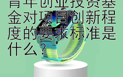 青年创业投资基金对项目创新程度的要求标准是什么？