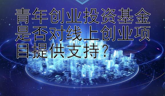 青年创业投资基金是否对线上创业项目提供支持？