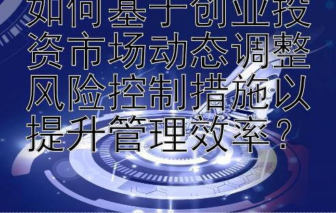 如何基于创业投资市场动态调整风险控制措施以提升管理效率？