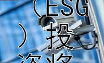 2024年全球范围内环境、社会与治理（ESG）投资将如何影响经济发展趋势？