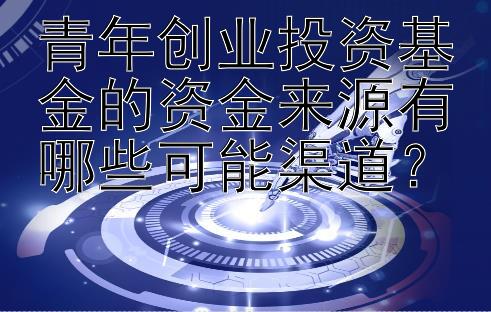 青年创业投资基金的资金来源有哪些可能渠道？