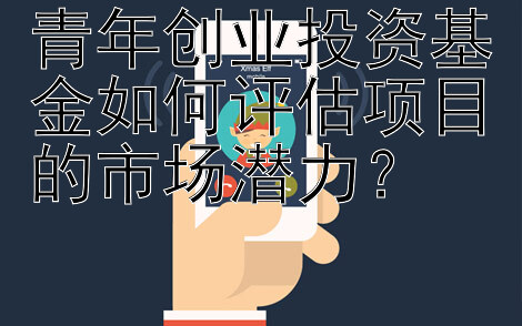 青年创业投资基金如何评估项目的市场潜力？