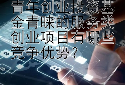 青年创业投资基金青睐的服务类创业项目有哪些竞争优势？