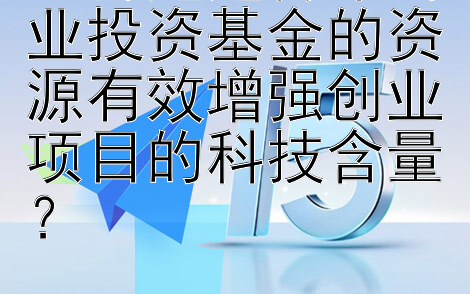 如何通过青年创业投资基金的资源有效增强创业项目的科技含量？