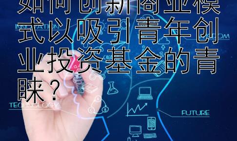 如何创新商业模式以吸引青年创业投资基金的青睐？