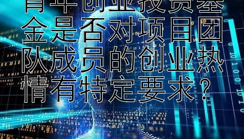 青年创业投资基金是否对项目团队成员的创业热情有特定要求？