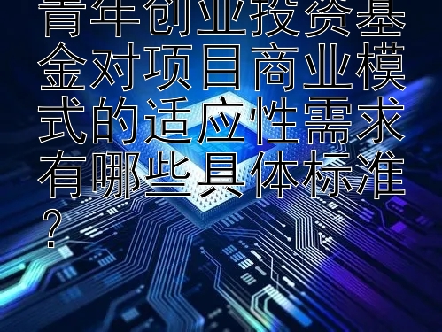 青年创业投资基金对项目商业模式的适应性需求有哪些具体标准？