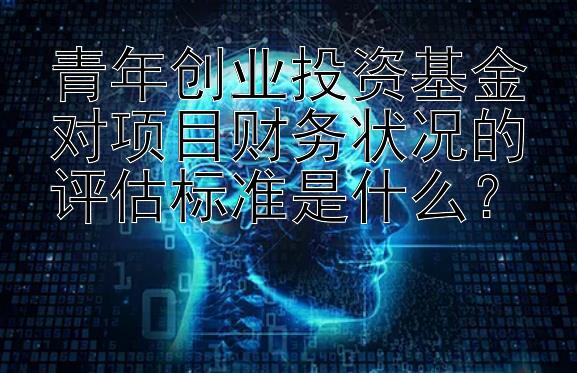 青年创业投资基金对项目财务状况的评估标准是什么？