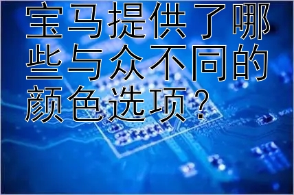 宝马提供了哪些与众不同的颜色选项？