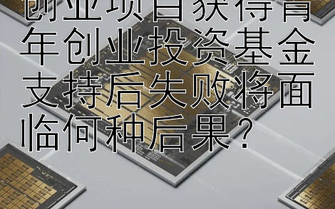 创业项目获得青年创业投资基金支持后失败将面临何种后果？