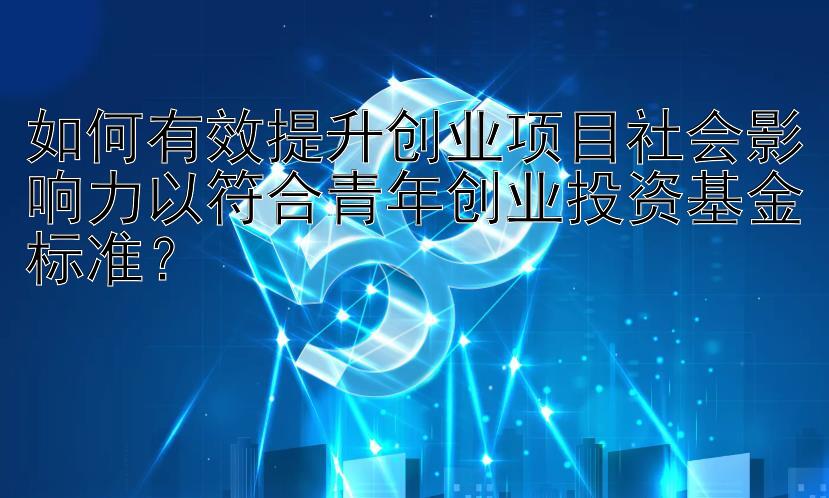 如何有效提升创业项目社会影响力以符合青年创业投资基金标准？