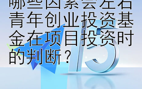 哪些因素会左右青年创业投资基金在项目投资时的判断？