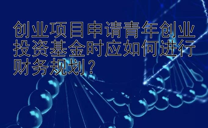 创业项目申请青年创业投资基金时应如何进行财务规划？