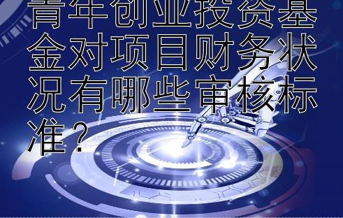 青年创业投资基金对项目财务状况有哪些审核标准？