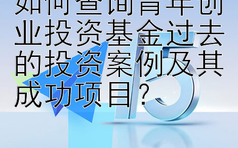 如何查询青年创业投资基金过去的投资案例及其成功项目？