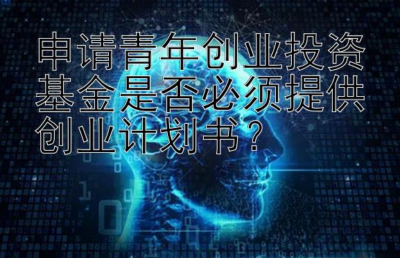 申请青年创业投资基金是否必须提供创业计划书？