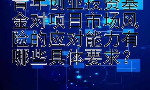 青年创业投资基金对项目市场风险的应对能力有哪些具体要求？