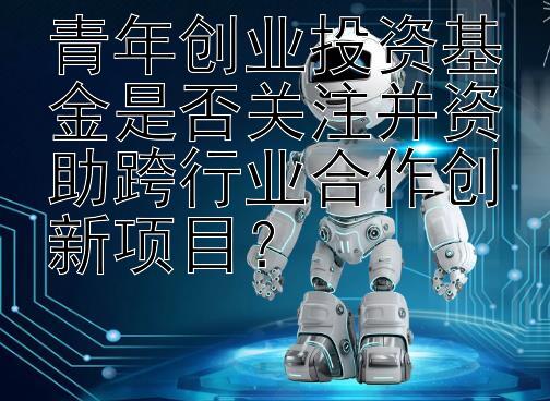 青年创业投资基金是否关注并资助跨行业合作创新项目？