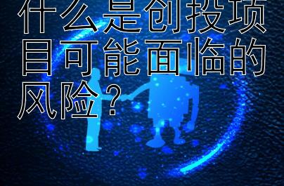 什么是创投项目可能面临的风险？