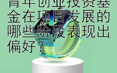 青年创业投资基金在项目发展的哪些阶段表现出偏好？