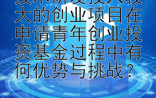 技术研发投入较大的创业项目在申请青年创业投资基金过程中有何优势与挑战？