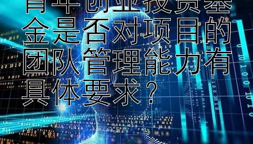 青年创业投资基金是否对项目的团队管理能力有具体要求？