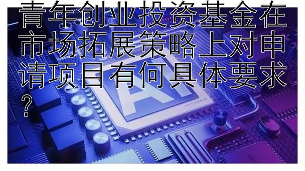 青年创业投资基金在市场拓展策略上对申请项目有何具体要求？