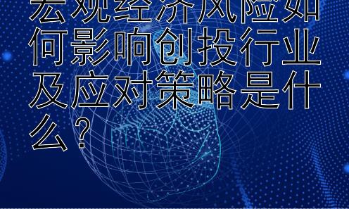 宏观经济风险如何影响创投行业及应对策略是什么？